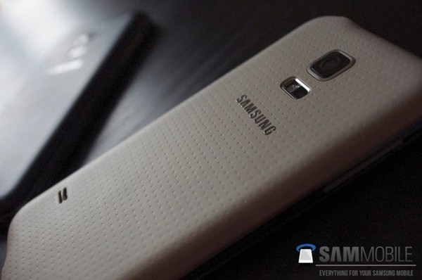 GALAXY S5 miniS5ı(ͼƬsammobile)