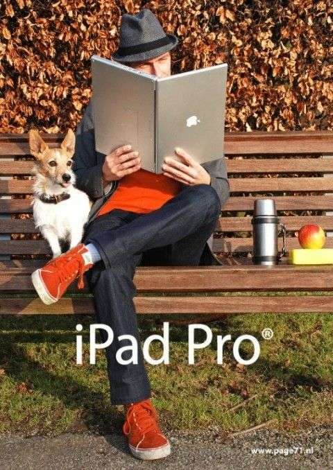 12.9iPadع⣺ش£