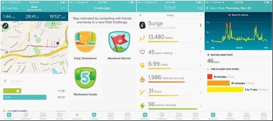 Fitbit Charge˶Ľ